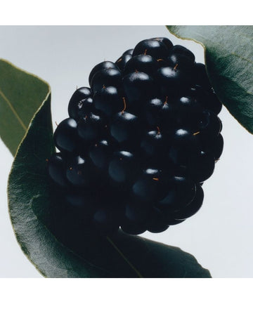 Blackberry &amp; Bay Cologne 100ml/3.4floz