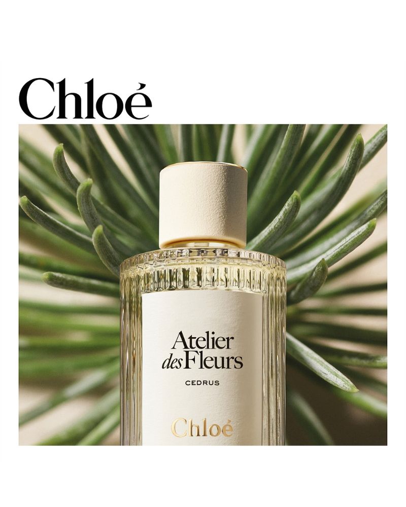Chloe Atelier des Fleurs EDP Spray - CEDRUS 50ml