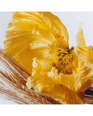 Poppy &amp; Barley by Jo Malone Eau de Cologne Spray 30ml