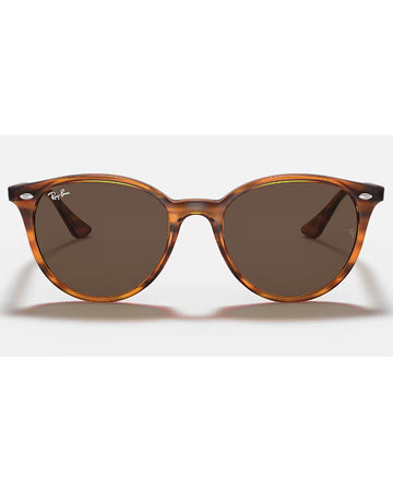 RB4305 Sunglasses in Striped Red Havana and Brown