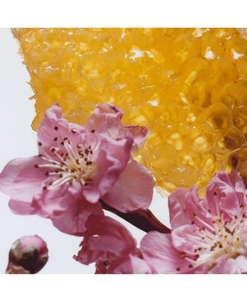 Nectarine Blossom + Honey Cologne 100ml