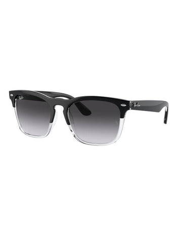 Ray-Ban RB4487 STEVE 66308G 54