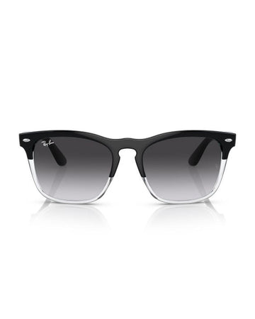 Ray-Ban RB4487 STEVE 66308G 54