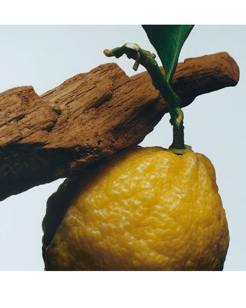 Oud &amp; Bergamot Cologne Intense 50ml