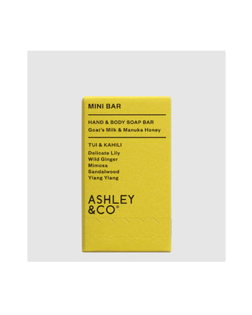 Ashley & Co Mini Bar - Hand & Body Soap