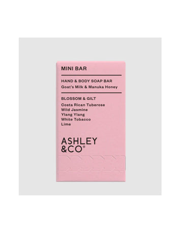 Ashley & Co Mini Bar - Hand & Body Soap