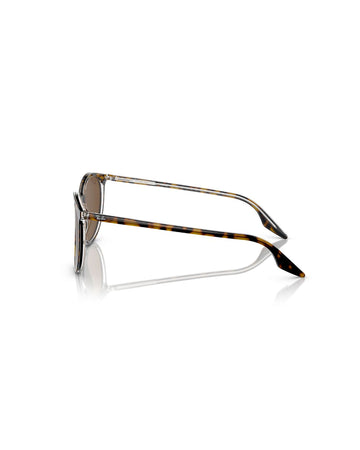 Ray-Ban RB2204 139357-54 Havana On Transparent / Brown Polarised Lenses