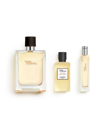 Terre D'hermès Eau De Toilette Set 100 +15ml +sg40ml +pouch Tr