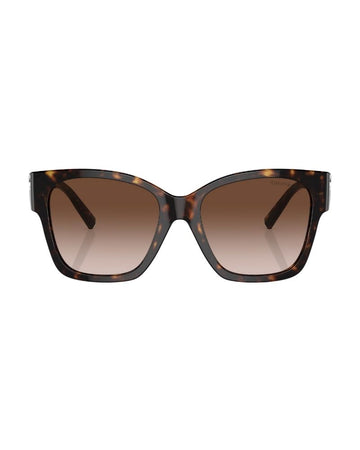 0tf4216 80153b 54 Havana Brown Gradient