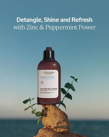 Purifying Conditioner 500ml