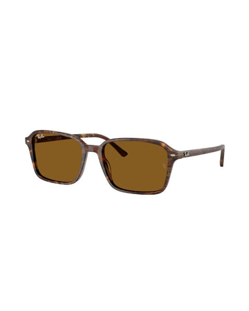 Ray-ban 0rb2231 141833 58 Brown Brown