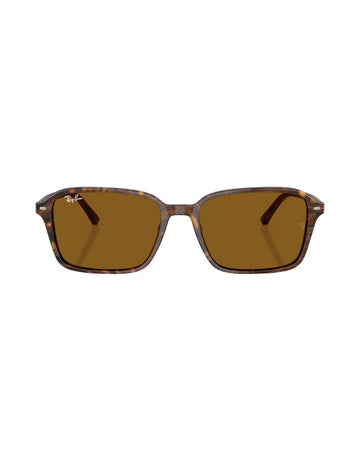 Ray-ban 0rb2231 141833 58 Brown Brown