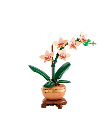Mini Orchid