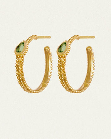 Earrings Ts387e-gvb